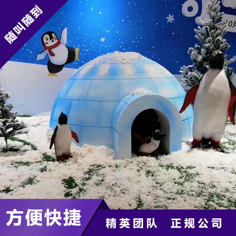 【海洋主题动物表演】,水族海洋展品质服务