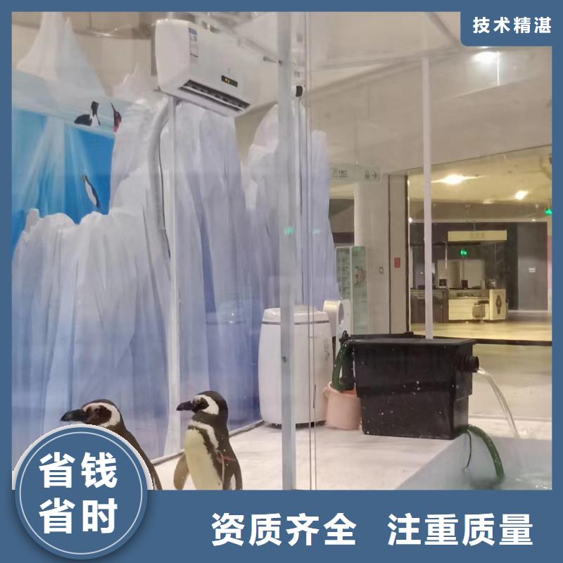 【海洋主题动物表演,表演羊驼租赁专业公司】