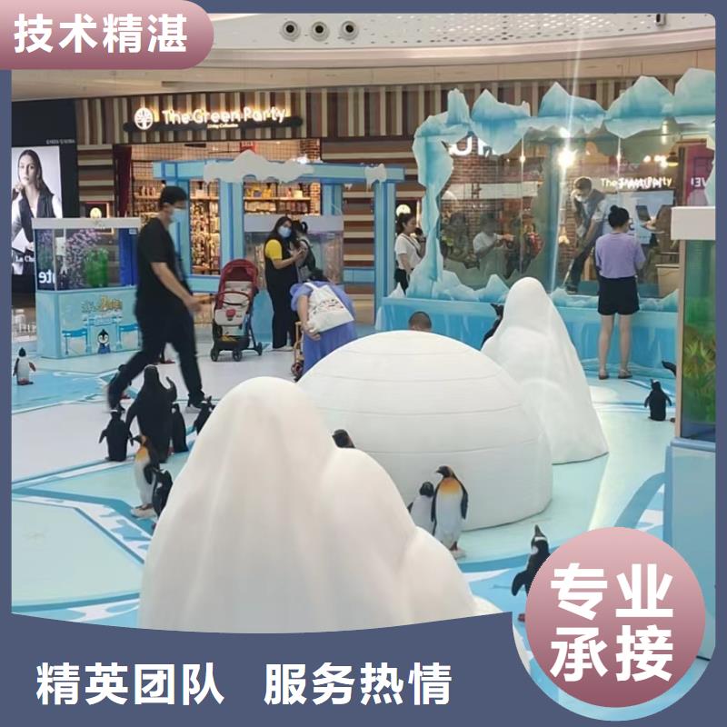 【海洋主题动物表演】,水族海洋展品质服务