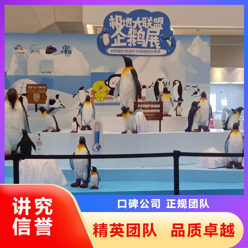 海洋主题动物表演出租表演羊驼服务热情