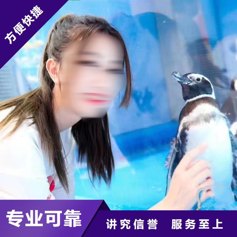 海洋主题动物表演羊驼出租匠心品质