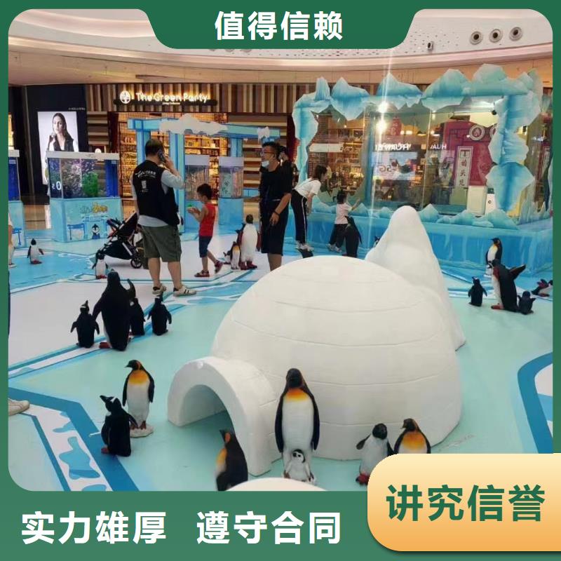 海洋主题动物表演出租海狮表演价格透明