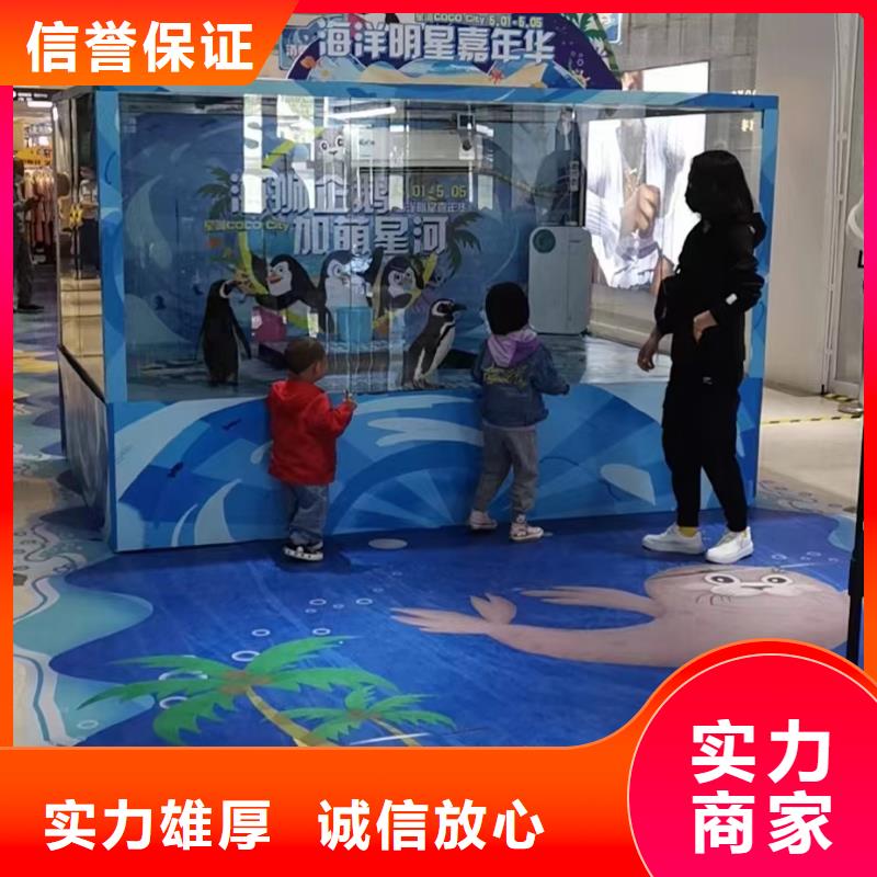 海洋主题动物表演鹦鹉表演2025专业的团队