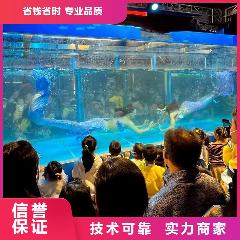 海洋主题动物表演-【鹦鹉表演】快速响应