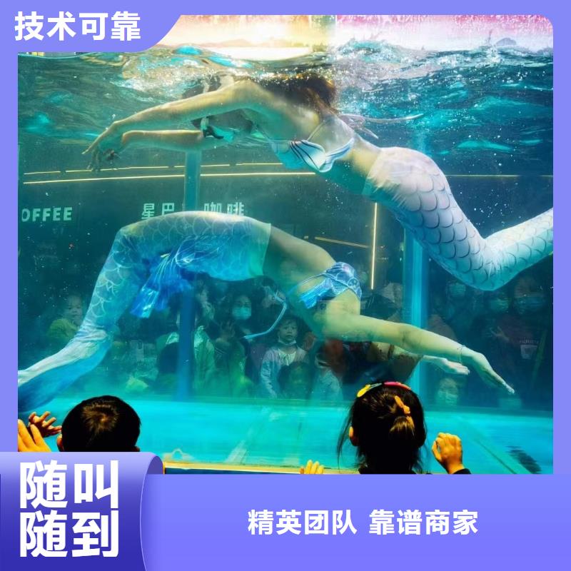 海洋主题动物表演马戏表演服务至上