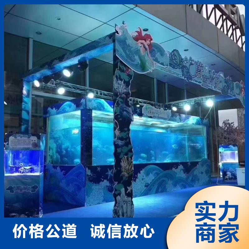 海洋主题动物表演,表演羊驼租赁团队