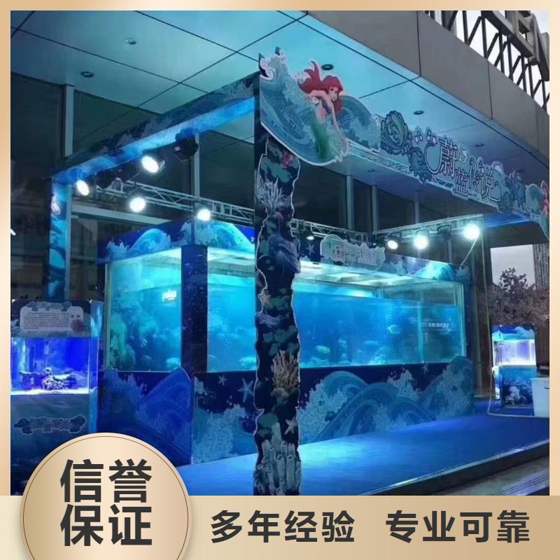 海洋主题动物表演-表演动物出租品质保证