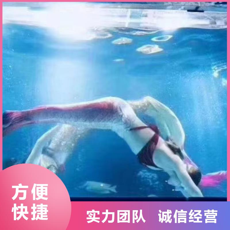 【海洋主题动物表演】羊驼表演质量保证