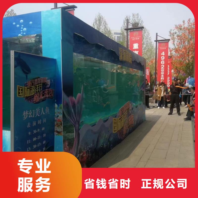 海洋主题动物表演 羊驼出租多家服务案例