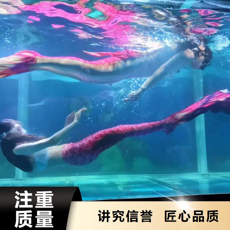 海洋主题动物表演,羊驼出租遵守合同