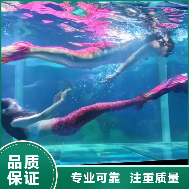海洋主题动物表演【海狮表演出租】技术可靠