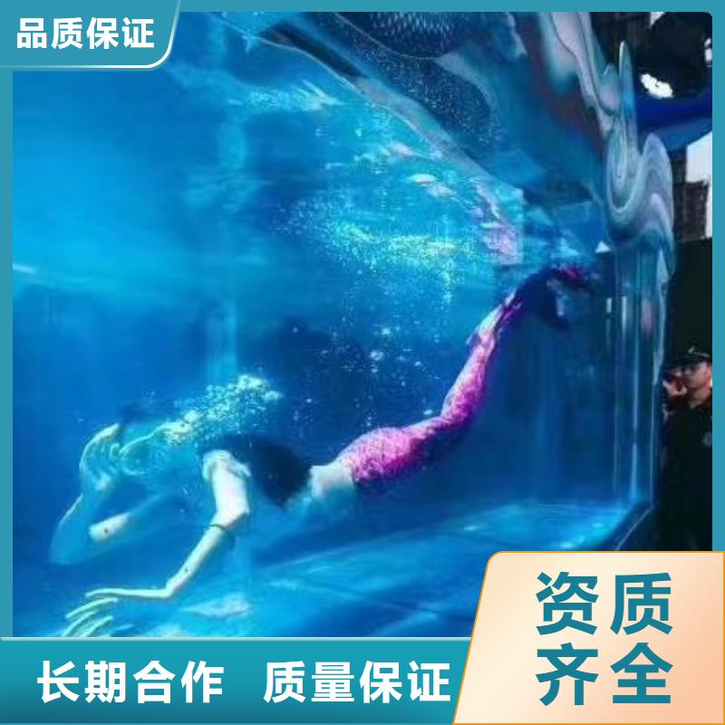 海洋主题动物表演 羊驼出租品质卓越