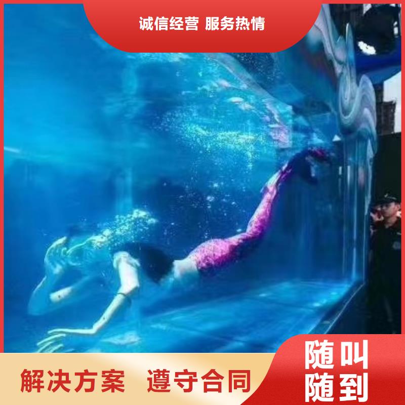 海洋主题动物表演 【海狮租赁表演】技术精湛