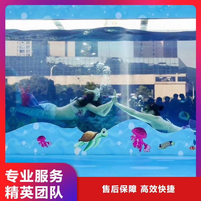 海洋主题动物表演【海狮表演出租】技术可靠