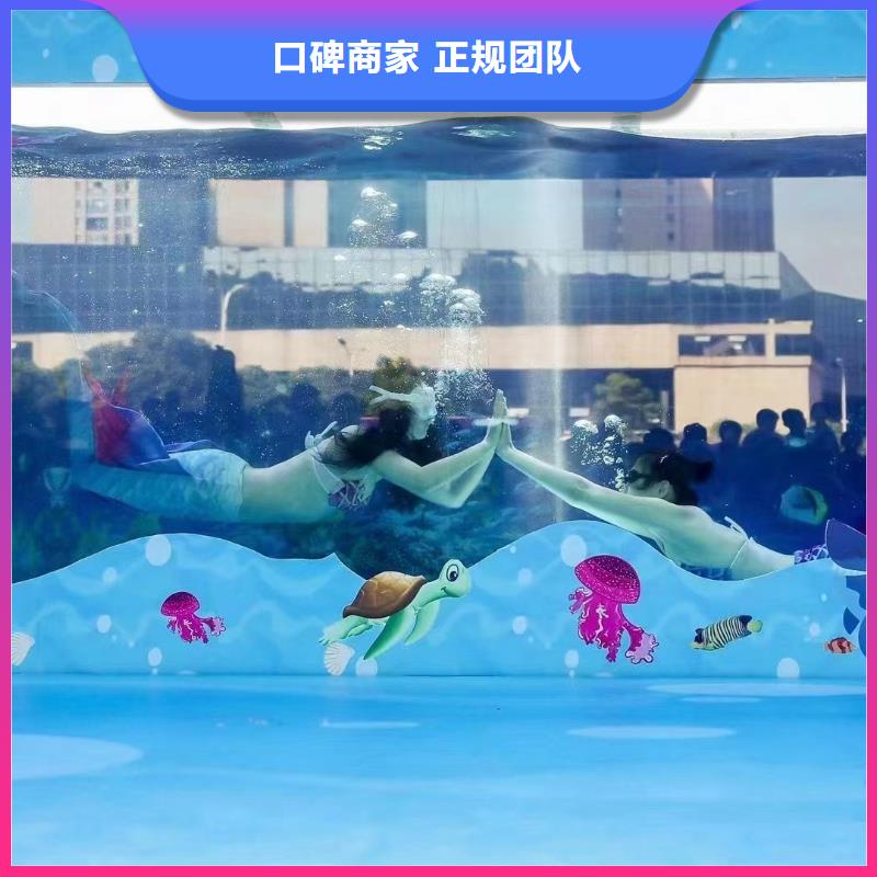 【海洋主题动物表演企鹅租赁价格透明】