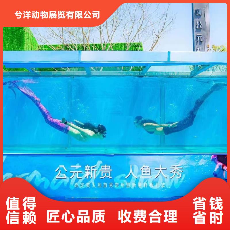 海洋主题动物表演,萌宠动物展出租快速
