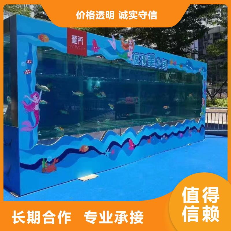 海洋主题动物表演马戏表演服务至上