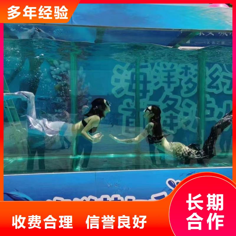 【海洋主题动物表演】马戏团表演出租省钱省时