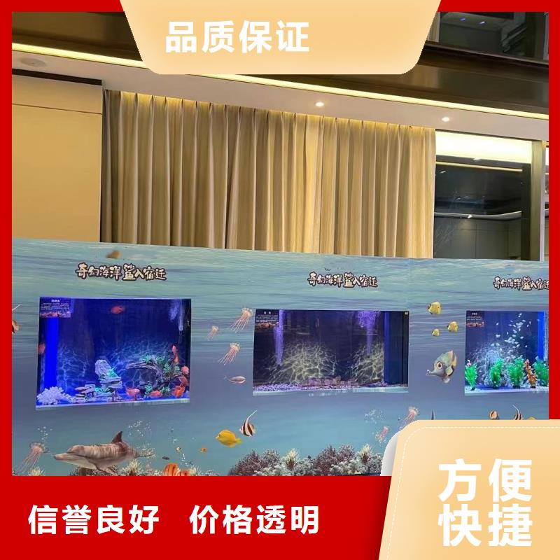 【海洋主题动物表演】,水族海洋展品质服务