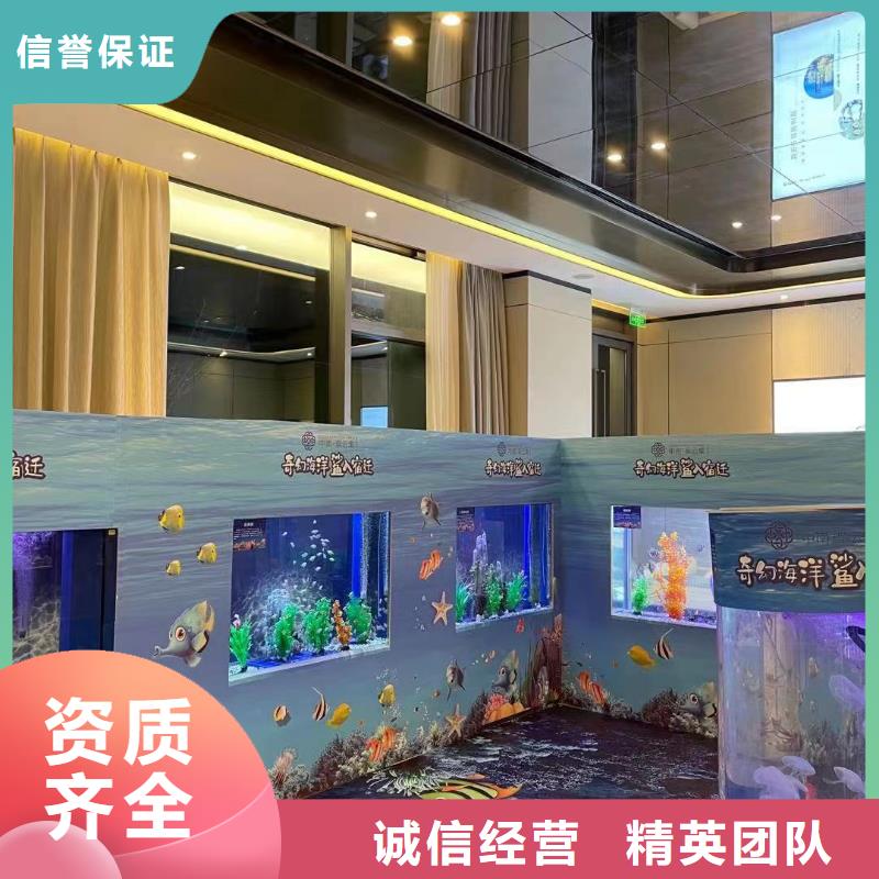 海洋主题动物表演_美人鱼表演质优价廉