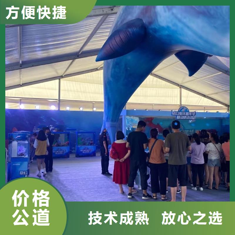 海洋主题动物表演马戏团表演长期合作