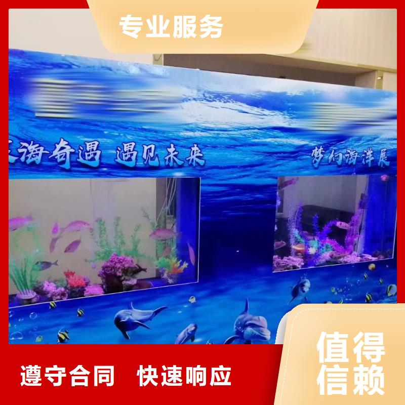 海洋主题动物表演 羊驼出租品质卓越