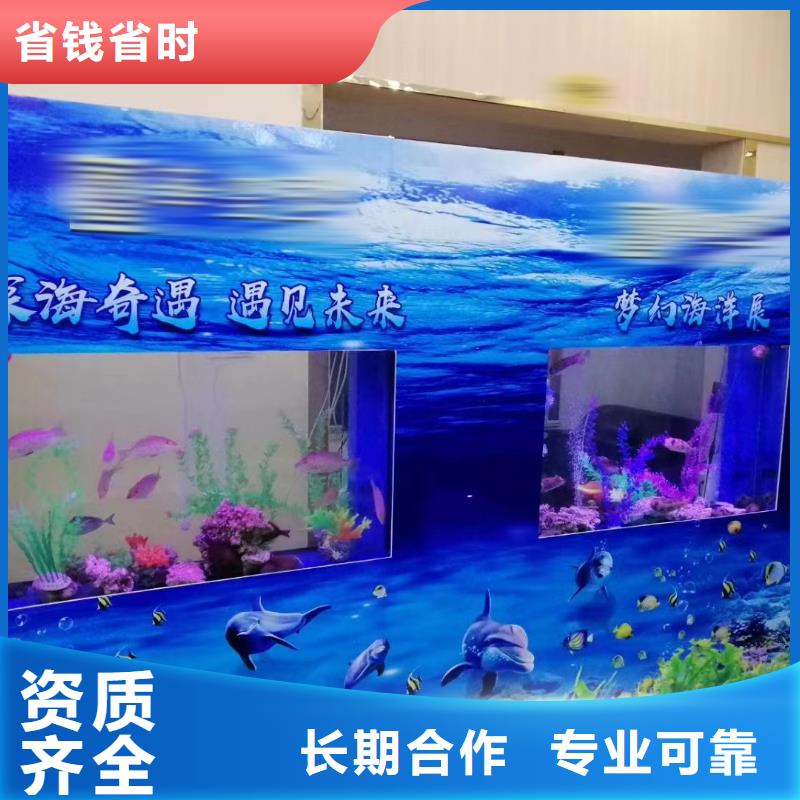 【海洋主题动物表演】动物表演省钱省时