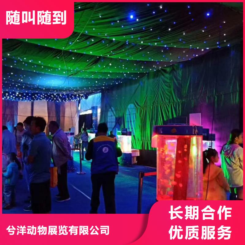 海洋主题动物表演 马戏团表演出租租赁诚实守信