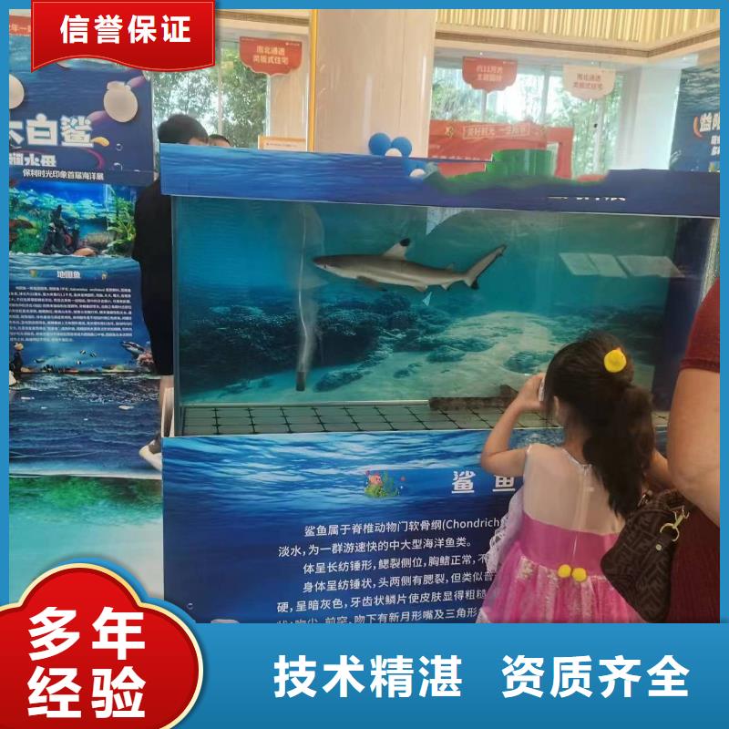海洋主题动物表演马戏团表演长期合作