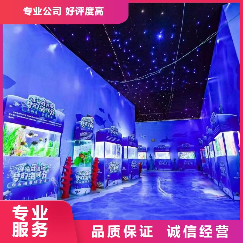 海洋主题动物表演,羊驼出租遵守合同