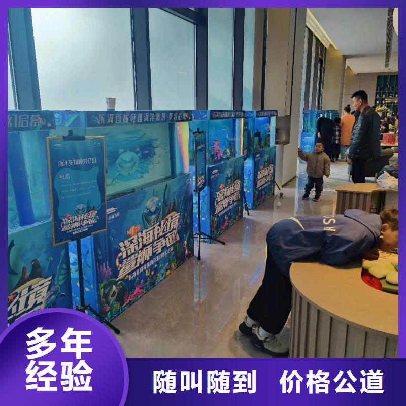 海洋主题动物表演_美人鱼表演质优价廉
