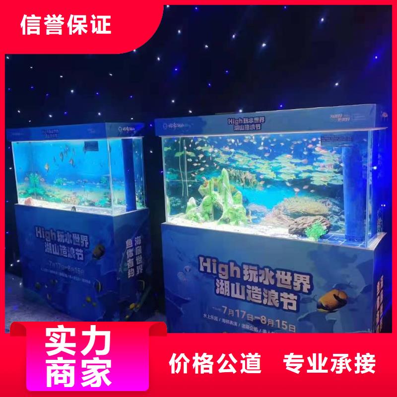 海洋主题动物表演_美人鱼表演质优价廉