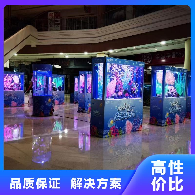 【海洋主题动物表演,表演羊驼租赁专业公司】