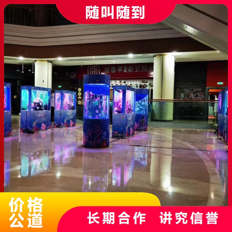 海洋主题动物表演,羊驼出租遵守合同