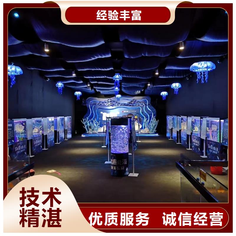 海洋主题动物表演 羊驼出租品质卓越