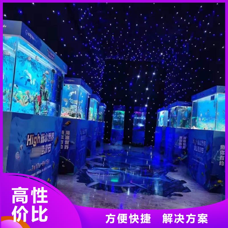 海洋主题动物表演海豚表演欢迎询价