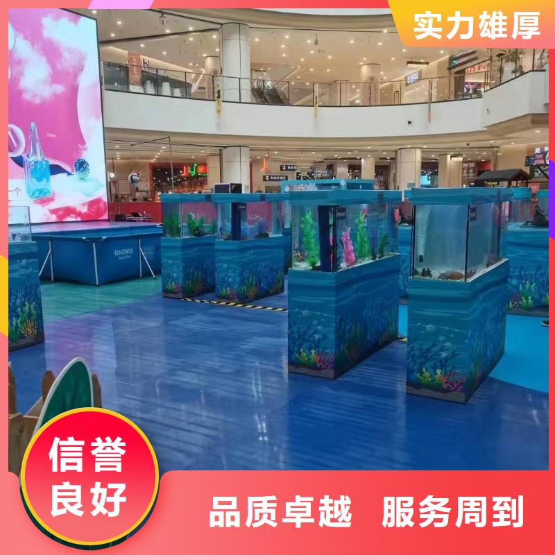海洋主题动物表演羊驼出租2025公司