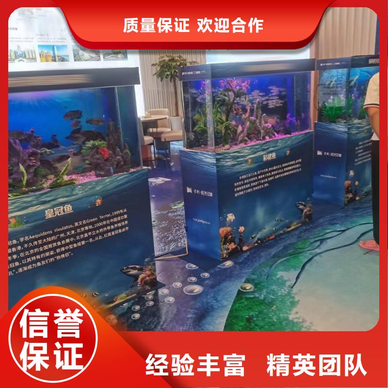 哪有出租企鹅的