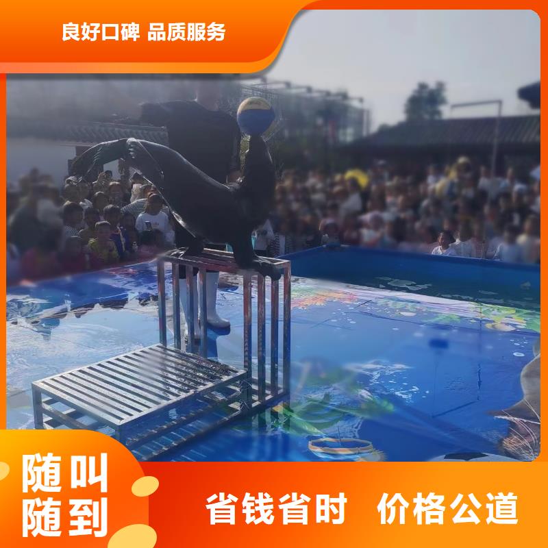 海洋主题动物表演企鹅租赁价格透明