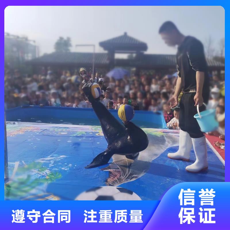 海洋主题动物表演羊驼出租诚实守信