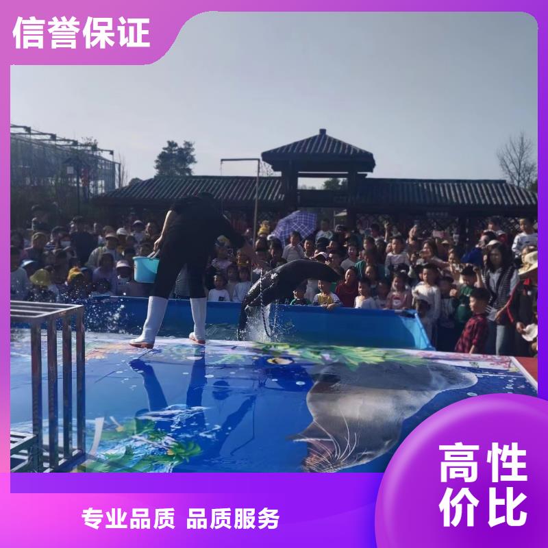 【海洋主题动物表演】动物表演省钱省时