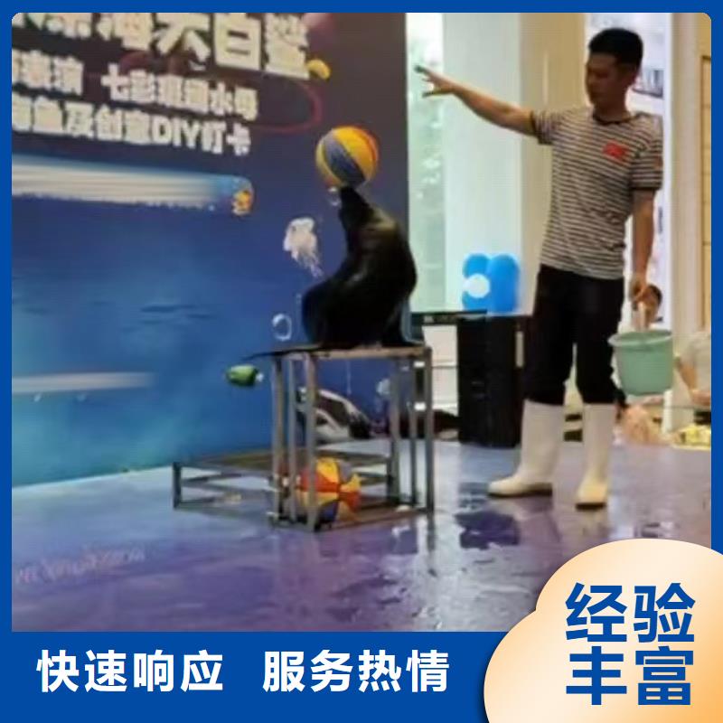 【海洋主题动物表演】马戏团表演出租省钱省时