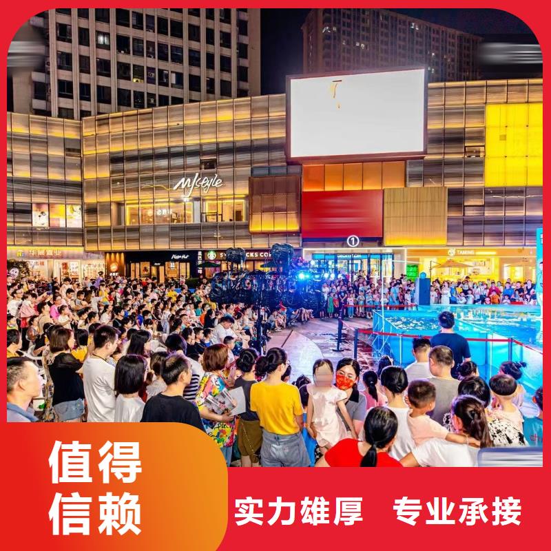 海洋主题动物表演 动物杂技表演一站搞定