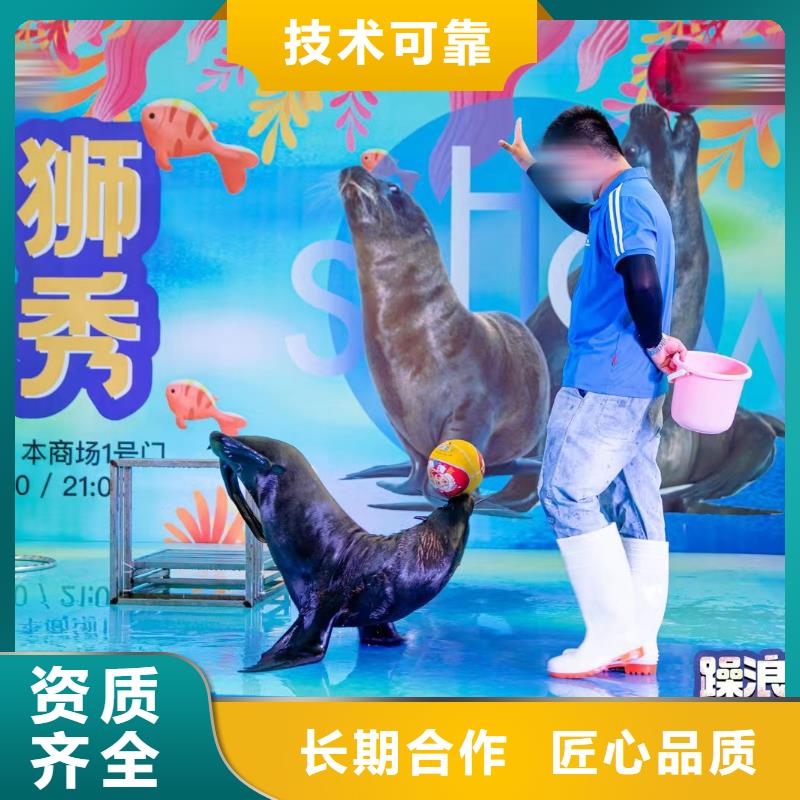 哪有企鹅租赁的活动图片
