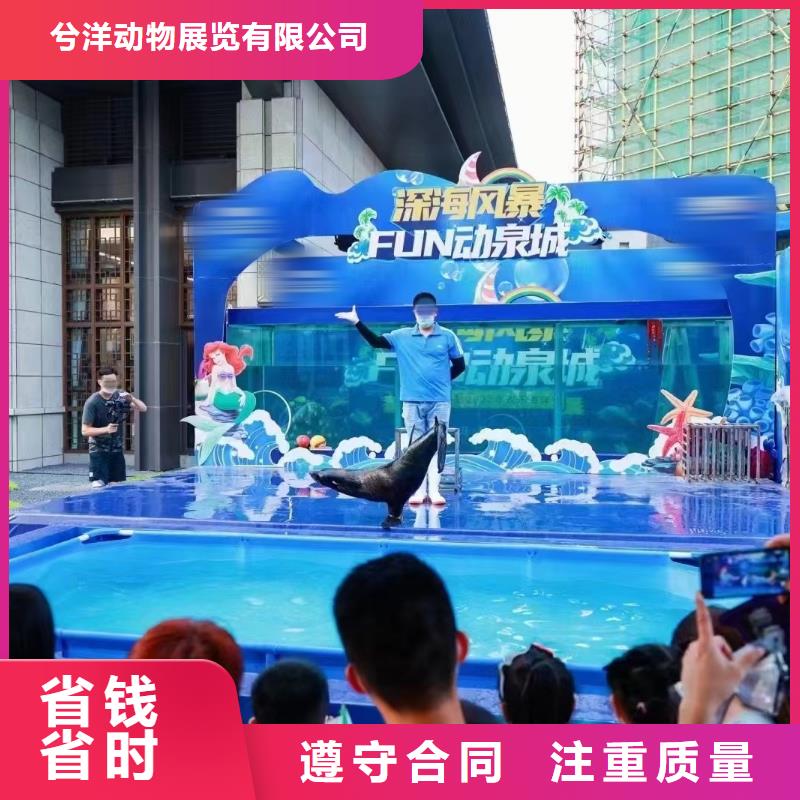 海洋主题动物表演景区杂技表演全市24小时服务