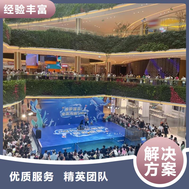 【海洋主题动物表演】,水族海洋展品质服务