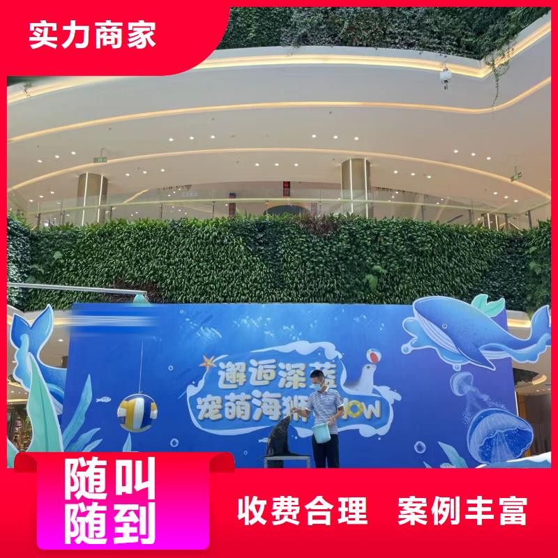 海洋主题动物表演动物杂技表演信誉良好