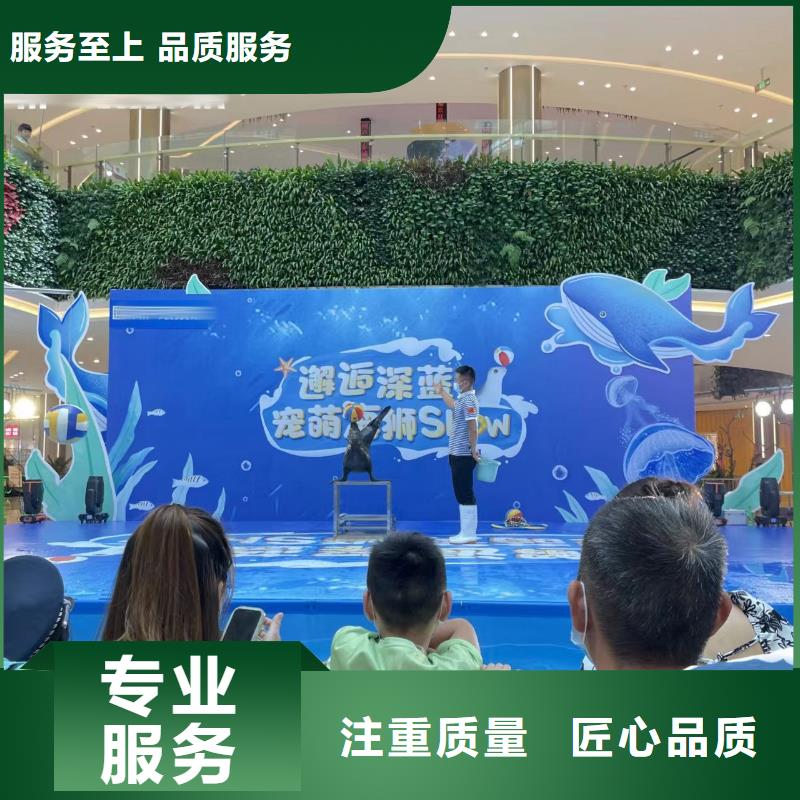 海洋主题动物表演企鹅租赁价格透明