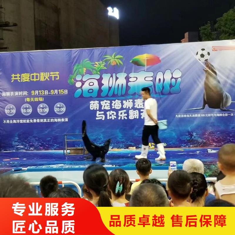 海洋主题动物表演 马戏团表演出租租赁诚实守信