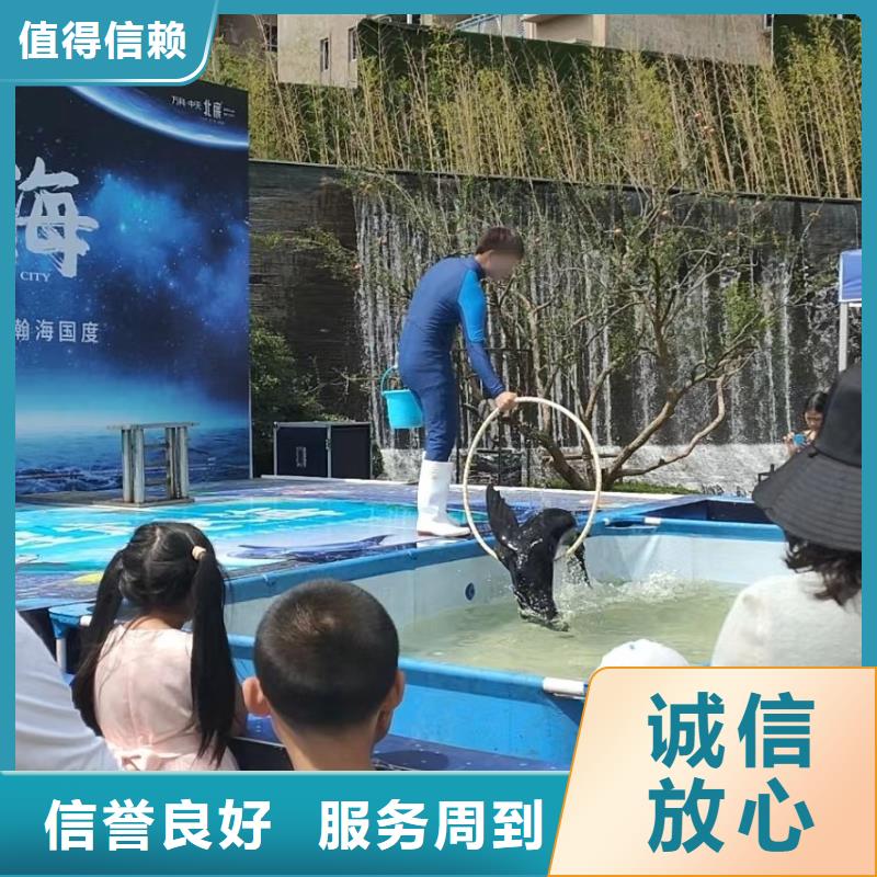 海洋主题动物表演马戏表演服务至上
